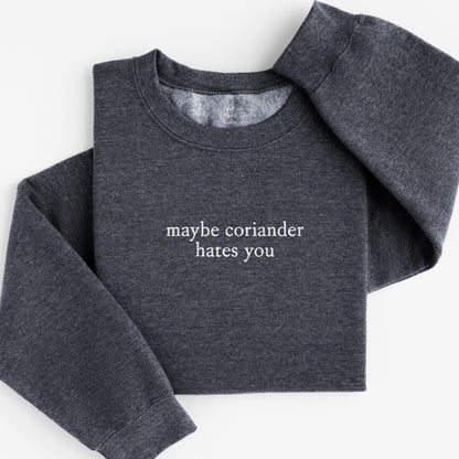 maybe coriander sweatshirt