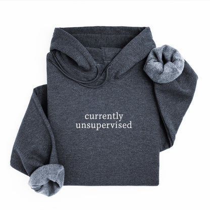 currently unsupervised hoodie