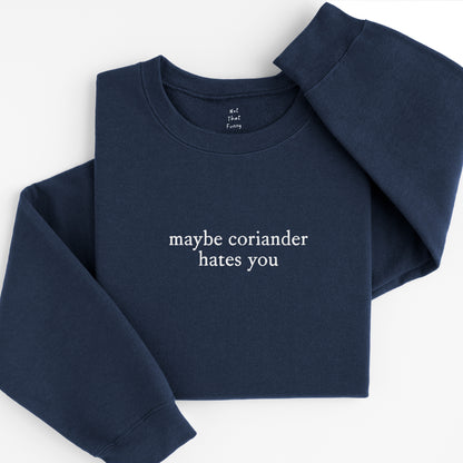 maybe coriander sweatshirt