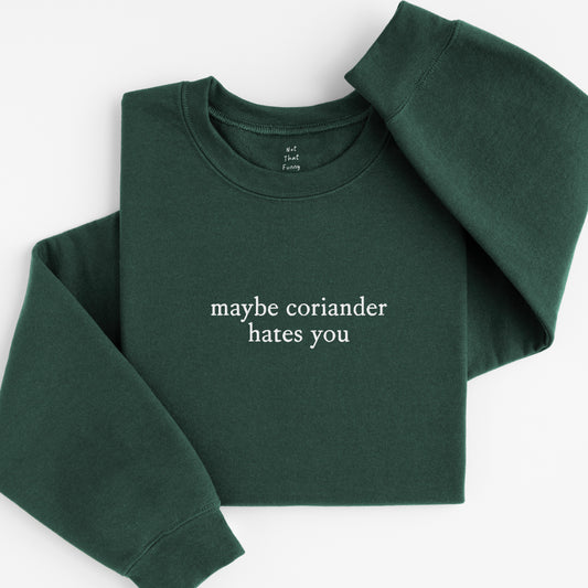 maybe coriander sweatshirt